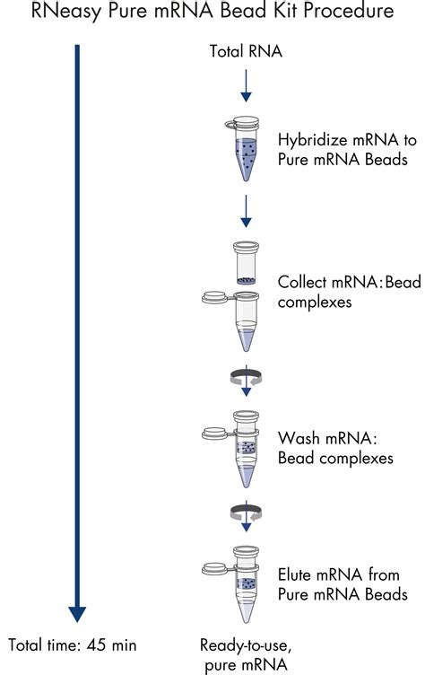 mrna purification kit|Magnetic mRNA Isolation Kit .